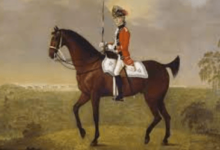 What Is The History Of Dressage?