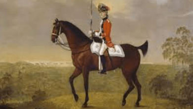What Is The History Of Dressage?