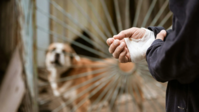 The Significance Of Medical Proof In Constructing Dog Bite Cases