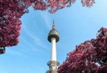 company services overview provided