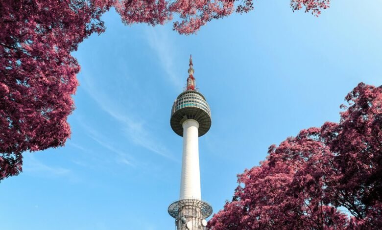 company services overview provided