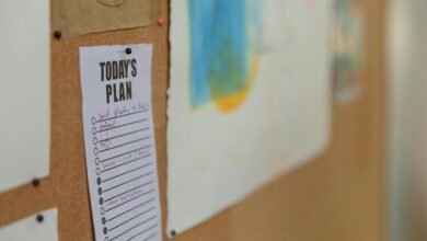 customs offices overview details