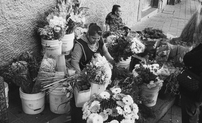 market intelligence product overview