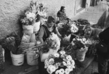 market intelligence snapshot analysis