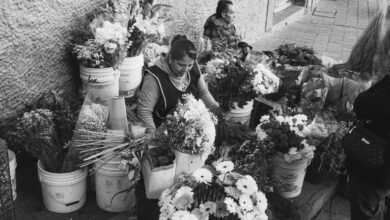 market intelligence snapshot analysis