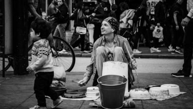 organisational performance overview report