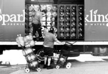 regression data distribution summary