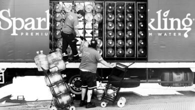 regression data distribution summary