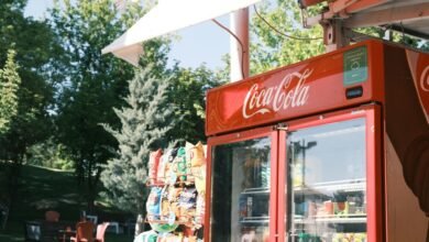 brand visibility discovery insights