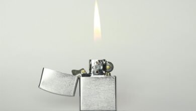 digital ignition system model