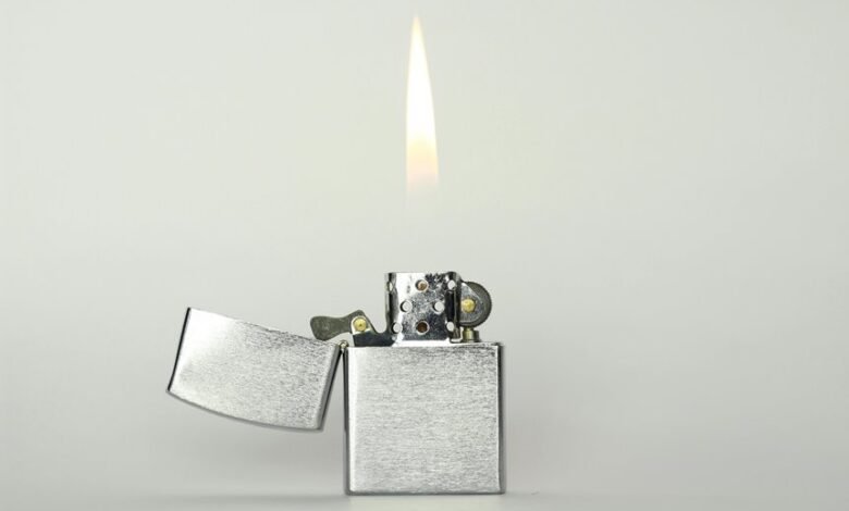 digital ignition system model